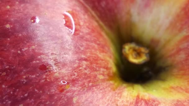 Primeros Planos Manzana Roja Madura Gotas Agua Cáscara Una Manzana — Vídeos de Stock