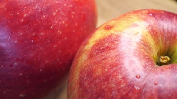 Два Стиглих Мокрих Червоних Яблука Плоди Крупним Планом Яблука Обертаються — стокове відео
