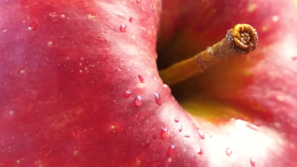 Gotas Agua Cáscara Una Manzana Roja Primer Plano — Vídeos de Stock