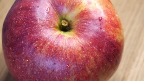 大きな赤いリンゴの上に水滴 アップルフルーツのガラ品種 クローズアップ — ストック動画