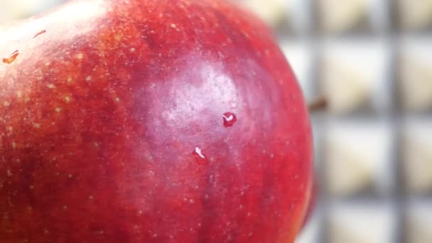 Gala Çeşitliliğinin Kırmızı Büyük Elmaları Meyveler Yakın Plan — Stok video