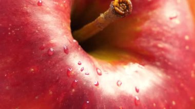 Kırmızı elmanın kabuğunda bir damla su, yakın plan..