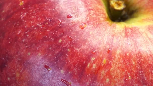 Rött Äpple Nära Håll Apelsinfruktsgala Full Ram — Stockvideo