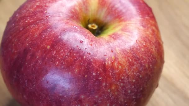 Hermoso Primer Plano Manzana Roja Gala Variedades Fruta Manzana Rotación — Vídeo de stock