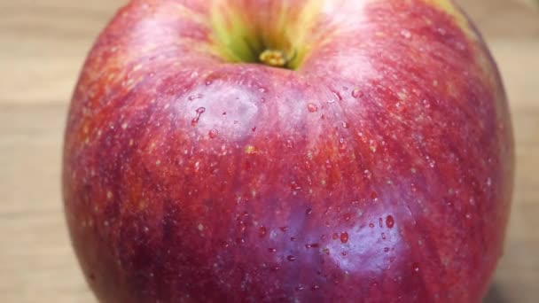 美しい赤いリンゴのクローズアップ リンゴの品種のガラ — ストック動画