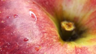 Kırmızı elma yaklaş. Elma meyve çeşitleri galası, tam çerçeve.