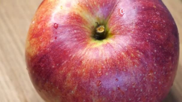 Hermoso Primer Plano Manzana Roja Gala Variedades Fruta Manzana Rotación — Vídeos de Stock