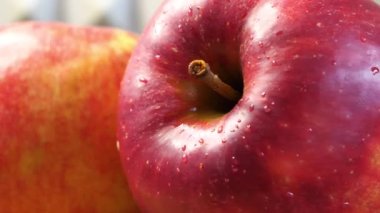 Gala çeşitliliğinin kırmızı büyük elmaları, meyveler yakın plan.