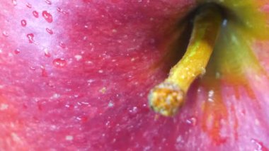 Pembe elma kabuğunun yakın plan çekimi..
