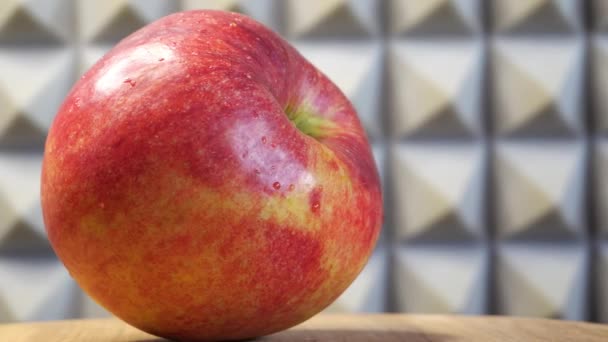 Jedno Duże Dojrzałe Jabłko Gala Zbliżenie Czerwone Jabłko Obracającej Się — Wideo stockowe