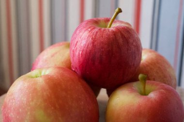 Birkaç olgun çizgili elma, yakın plan bir çekim. Gala ve Ligol çeşitlerinden elmalar.