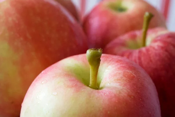 Mehrere Äpfel Der Ligol Und Gala Sorten Eine Nahaufnahme — Stockfoto