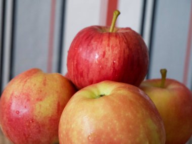 Birkaç olgun çizgili elma, yakın plan bir çekim. Gala ve Ligol çeşitlerinden elmalar.