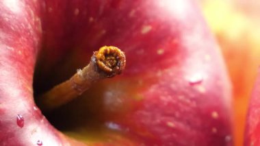 Pembe elma kabuğunun yakın plan çekimi..