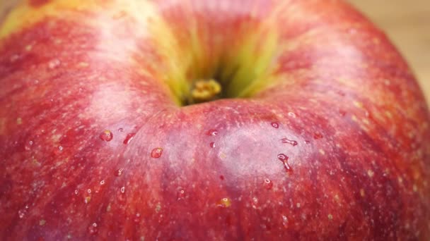 Gotas Agua Cáscara Una Manzana Cerca Fruto Manzana Variedad Gala — Vídeos de Stock