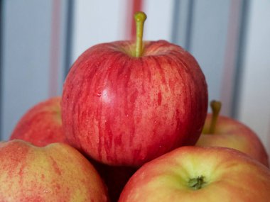 Birkaç olgun çizgili elma, yakın plan bir çekim. Gala ve Ligol çeşitlerinden elmalar.