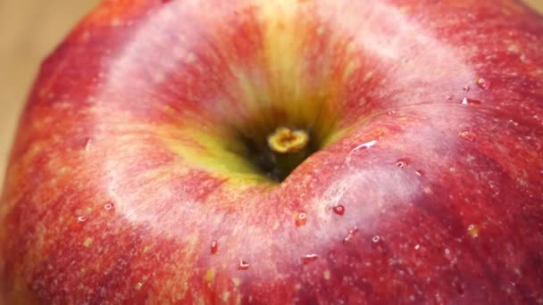 Gotas Agua Cáscara Una Manzana Cerca Fruto Manzana Variedad Gala — Vídeos de Stock