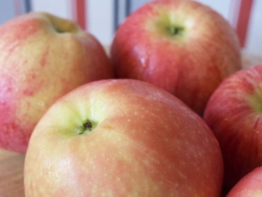 Ligol ve gala çeşitlerinden birkaç elma, yakın çekim..