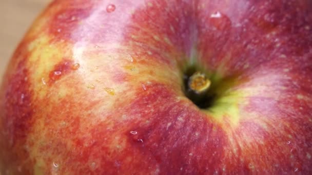 Vattendroppar Ett Äppelskal Närbild Äppelfrukt Sorten Gala — Stockvideo