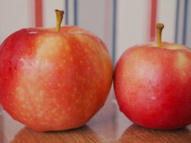 Ligol cinsinden iki olgun elma, yakın çekim..