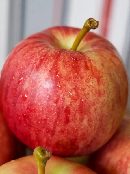 Reife Gala Äpfel Eine Nahaufnahme Äpfel Deren Schale Mit Rosa — Stockfoto