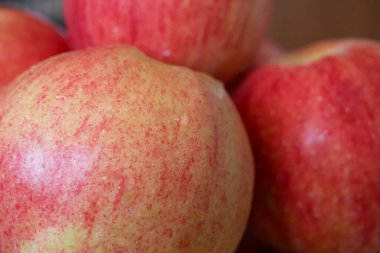 Gala ve Ligol çeşitlerinden birkaç elma, yakın çekim..