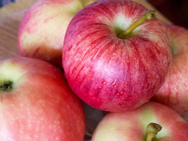 Gala ve Ligol çeşitlerinden birkaç elma, yakın çekim..