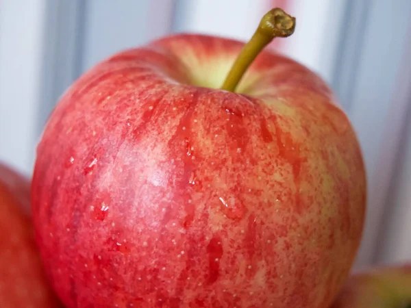 Reife Gala Äpfel Eine Nahaufnahme Äpfel Deren Schale Mit Rosa — Stockfoto