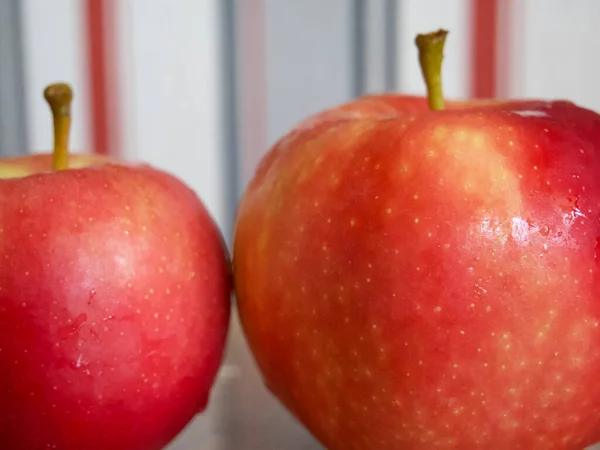 Zwei Reife Äpfel Der Sorte Ligol Eine Nahaufnahme — Stockfoto