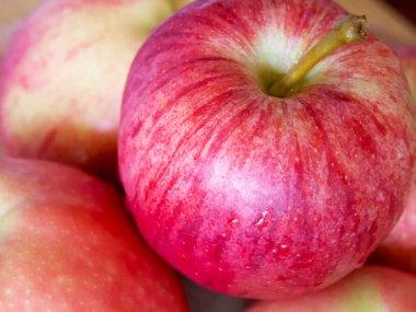 Olgun gala elmaları, yakın çekim. Elma kabukları pembe çizgilerle kaplı..