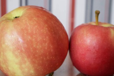 Ligol cinsinden iki olgun elma, yakın çekim..