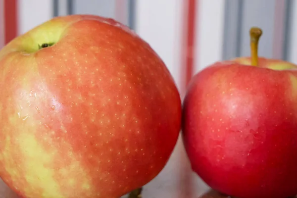 Zwei Reife Äpfel Der Sorte Ligol Eine Nahaufnahme — Stockfoto