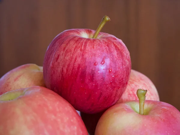 Ein Paar Reife Gestreifte Äpfel Eine Nahaufnahme Äpfel Der Gala — Stockfoto
