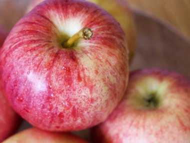 Olgun gala elmaları, yakın çekim. Elma kabukları pembe çizgilerle kaplı..