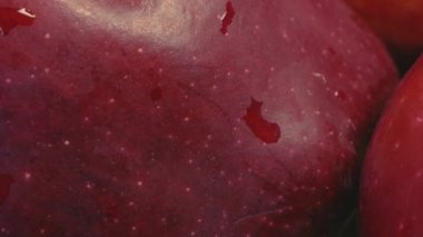 Büyük kırmızı elma, makro video. Kaygan atış. Tam zamanlı gerçek zamanlı video.