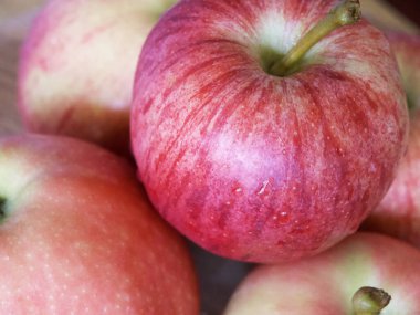 Gala ve Ligol çeşitlerinden birkaç elma, yakın çekim..