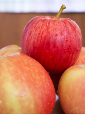 Birkaç olgun çizgili elma, yakın plan bir çekim. Gala ve Ligol çeşitlerinden elmalar.