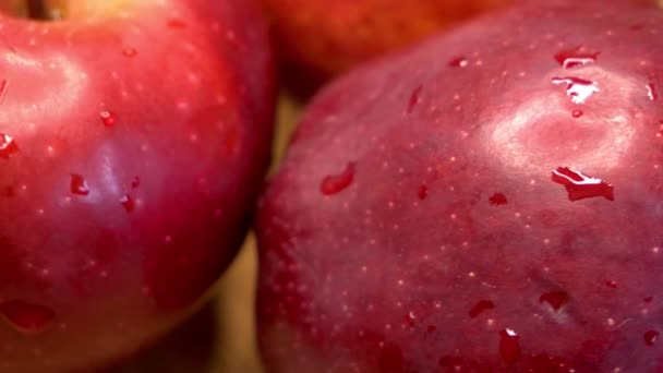 Velká Červená Jablka Zblízka Lahodné Ovoce Videa — Stock video