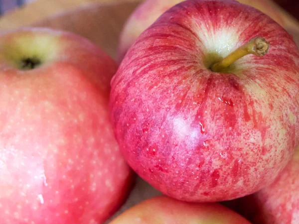 Few Gala Apples Close Shot Ripe Apples Gala Clonally Propagated — Stockfoto