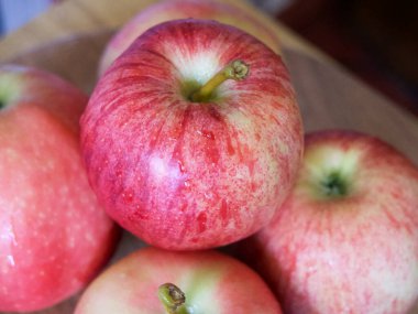Birkaç gala elması, yakın çekim. Olgun elmalar. Gala, yumuşak ve tatlı aromalı klonlanmış bir elma yetiştiricisidir..