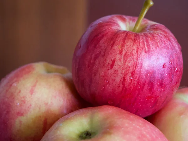 Ein Paar Reife Gestreifte Äpfel Eine Nahaufnahme Äpfel Der Gala — Stockfoto