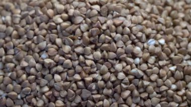 Karabuğday, makro video. Karabuğdayın tam kare videosu, döndürme.