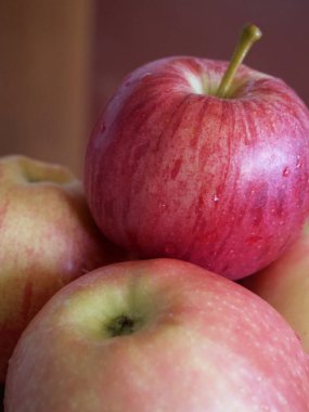 Birkaç olgun çizgili elma, yakın plan bir çekim. Gala ve Ligol çeşitlerinden elmalar.