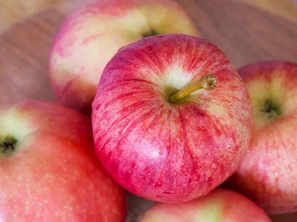Ein Paar Reife Gestreifte Äpfel Eine Nahaufnahme Äpfel Der Gala — Stockfoto