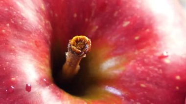 Güzel kırmızı elma yakın plan. Son derece detaylı makro video tam HD biçiminde. Slayt atışı. Islak elma..