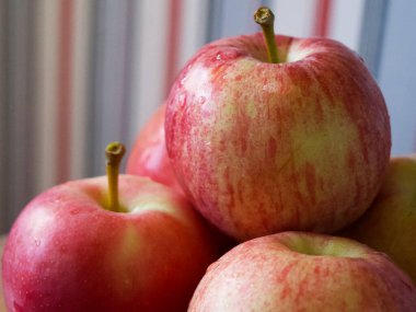 Birkaç olgun çizgili elma, yakın plan bir çekim. Gala ve Ligol çeşitlerinden elmalar.
