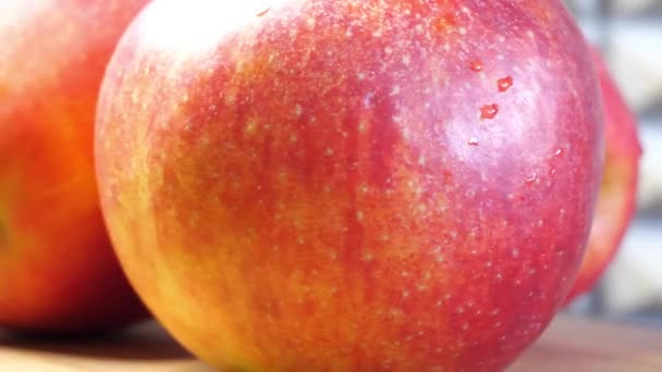 Några Våta Röda Äpplen Makro Video Äpplena Snurrar Frukt Och — Stockvideo