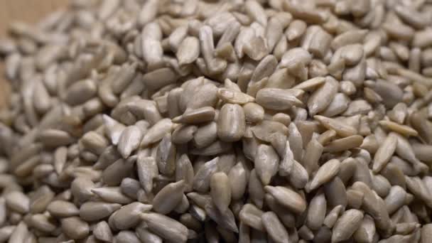 Highly Detailed Close Video Peeled Sunflower Seeds — Stockvideo