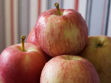 Birkaç olgun çizgili elma, yakın plan bir çekim. Gala ve Ligol çeşitlerinden elmalar.