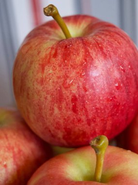 Olgun gala elmaları, yakın çekim. Elma kabukları pembe çizgilerle kaplı..